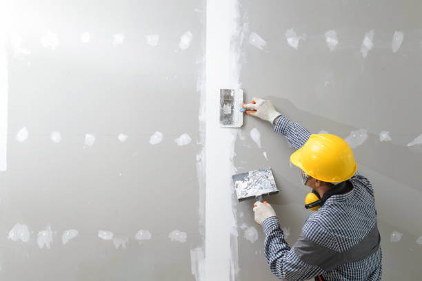 Best Post-Construction Mold Inspection  in Groves, TX